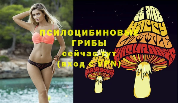 марки lsd Балабаново