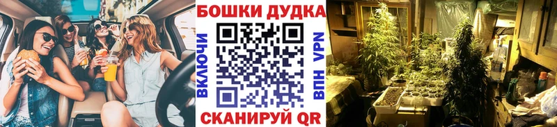 Бошки Шишки сатива KRAKEN онион Бирск